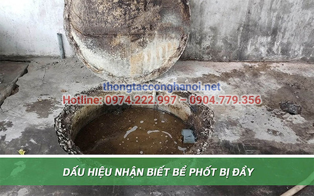 Bể phốt đầy gây ra tình trạng tắc nghẽn và mùi hôi thối khó chịu