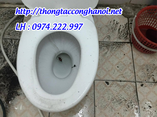 thông tắc bồn cầu tại từ liêm