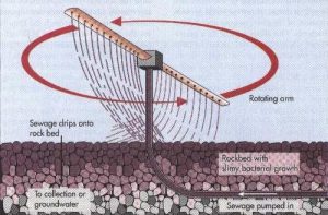 bể lọc sinh học nhỏ giọt