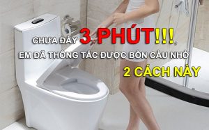 Thông tắc bồn cầu