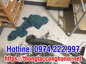 thông tắc cống hút bể phốt