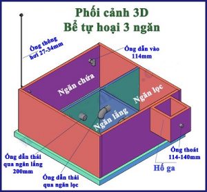 Cách đặt ống bể tự hoại