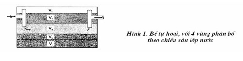 Hầm tự hoại 2 ngăn