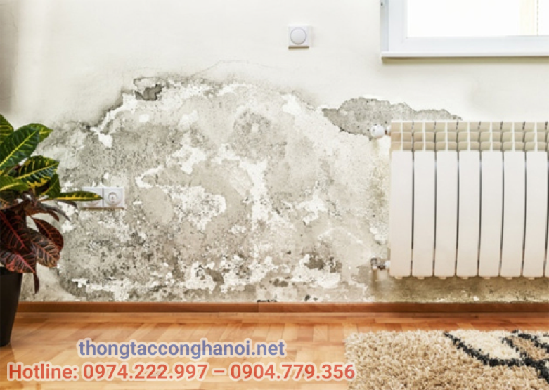 kiểm tra rò rỉ nước trong nhà