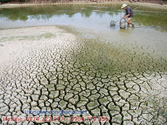 ảnh hưởng của biến đổi khí hậu đến Việt Nam