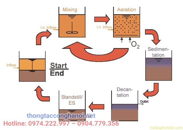 Sơ đồ quá trình loại bỏ Ni tơ có trong bể SBR