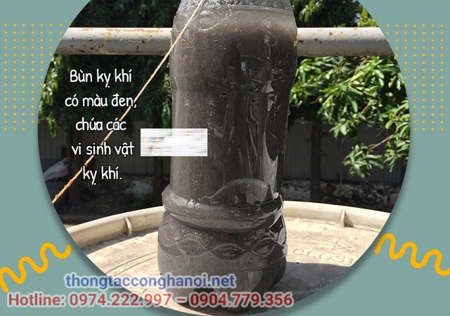 Bùn vi sinh kỵ khí 