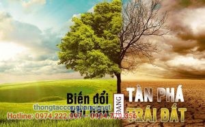 Biến đổi khí hậu là gì?