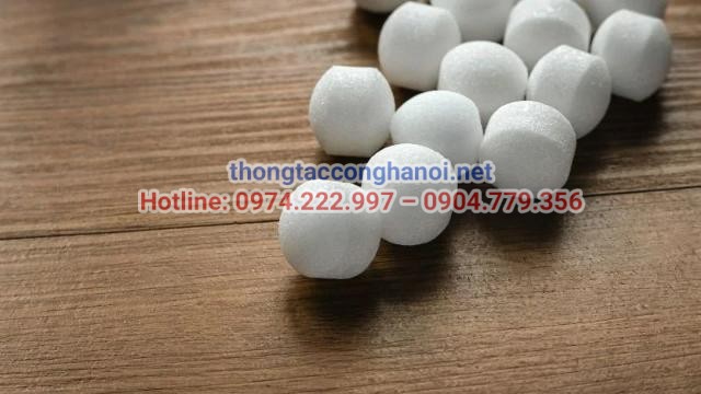 Diệt gián bằng long não
