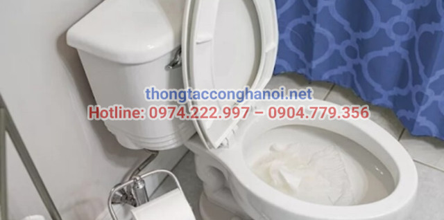 Nguyên nhân và dấu hiệu cho thấy bể phốt bị tắc