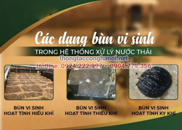 Các loại bùn vi sinh phổ biến hiện nay