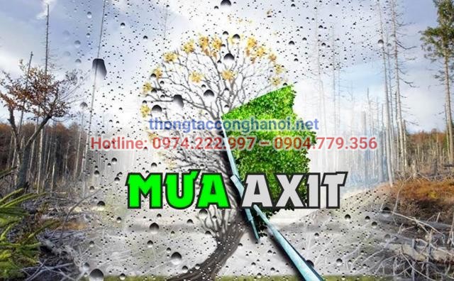 Mưa axit gây tổn hại đến rừng, hồ, đất đai