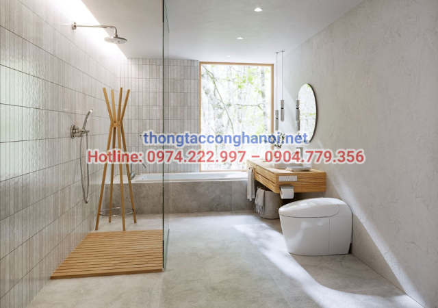 Bồn cầu thông minh TOTO C971/TCF9433A GG