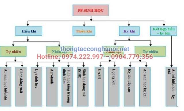 Sơ đồ phân loại các công nghệ xử lý nước thải bằng phương pháp sinh học cơ bản