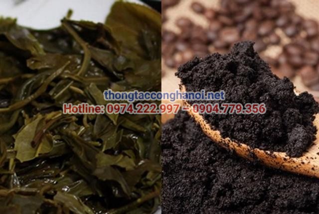 Sử dụng trà xanh hoặc cà phê để khử mùi phòng ngủ