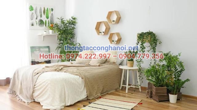 Trồng cây xanh trong phòng ngủ