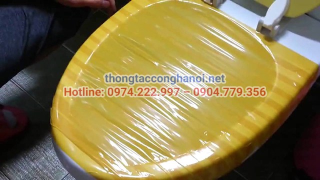 Vi-sao-nen-thong-bon-cau-bang-bang-dinh