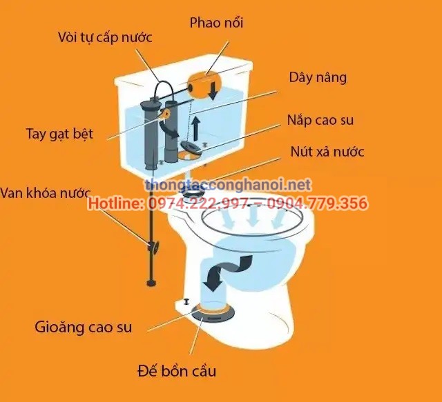 Cấu tạo bồn cầu Inax 2 khối