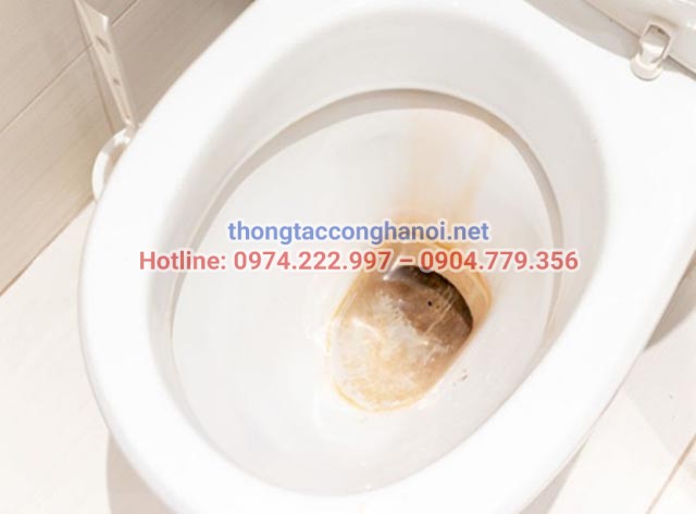 Vi-sao-can-tay-can-voi-trong-bon-cau-dinh-ky