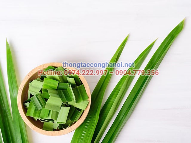 Công dụng của lá dứa