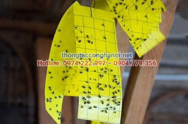 Đặt băng dính hai mặt