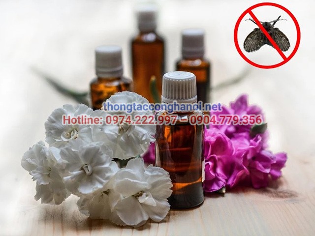 Dùng tinh dầu thiên nhiên