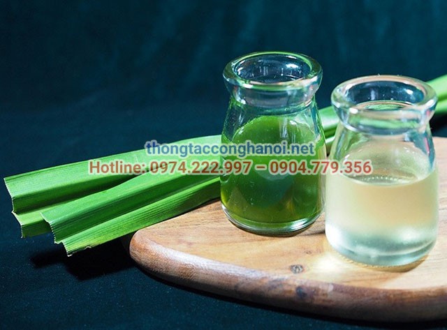 Sử dụng tinh dầu lá dứa