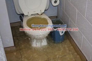 Bồn cầu trào ngược