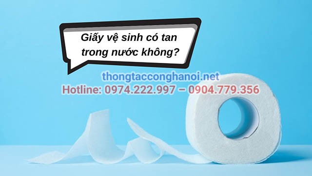 Chọn giấy vệ sinh dễ tan trong nước