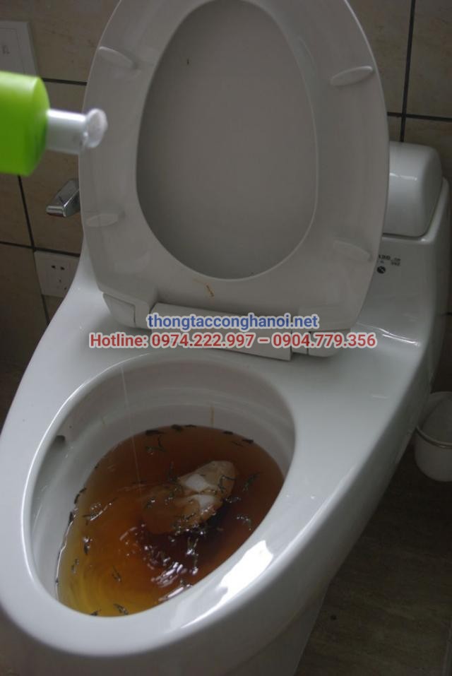 Bồn cầu bị trào ngược do hầm cầu bị đầy