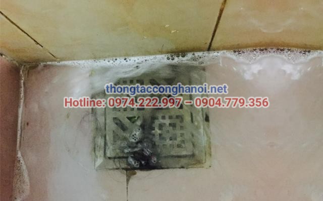 Đường cống bị nghẹt do tóc, cặn xà phòng